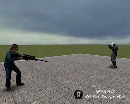 NPC Weapons