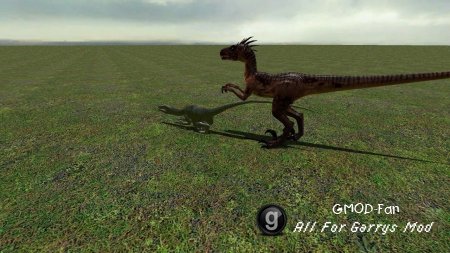 raptor npc pack