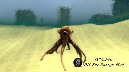 Octopus Snpc
