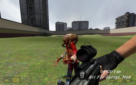 Customizable Weaponry 1.191