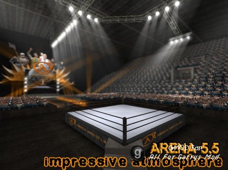 Arena 5.5