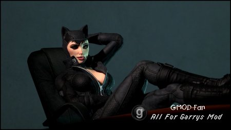Catwoman - The alluring thief
