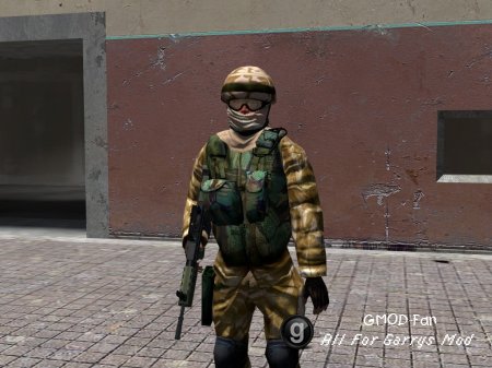 pr-brit-soldier