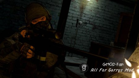 AW50 Anti Material Rifle & F2000 HEXED