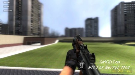 AKS74U on BFBC2 - like anims