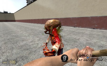 Customizable L4D2 Weaponry