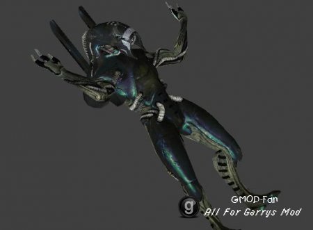 Hunter_legion