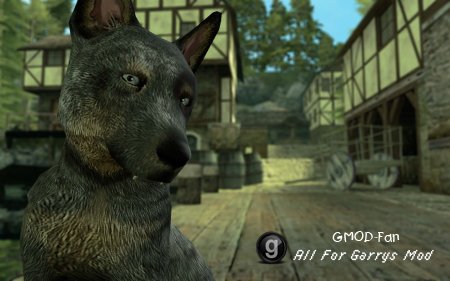 Animal Pack (Dragon Age)