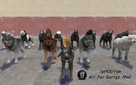 Animal Pack (Dragon Age)