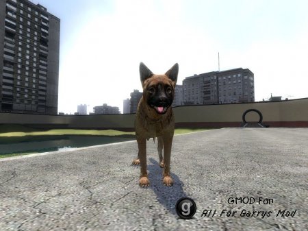 German Shepard Follower v2
