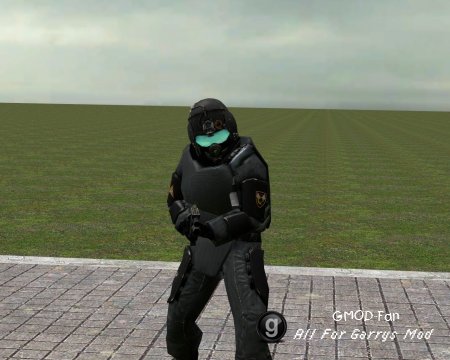 Combine Pilot NPC