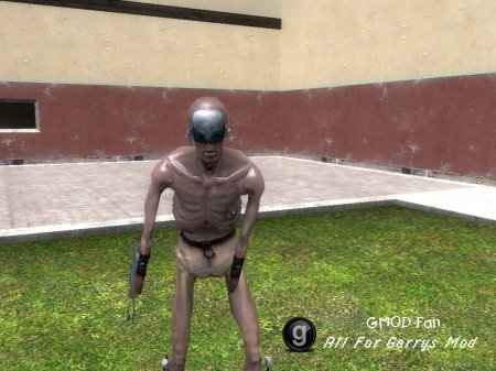Stalker Model Fix