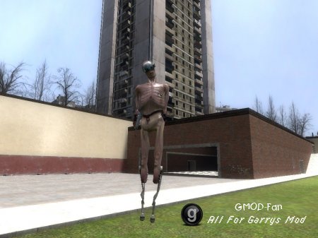 Stalker Model Fix