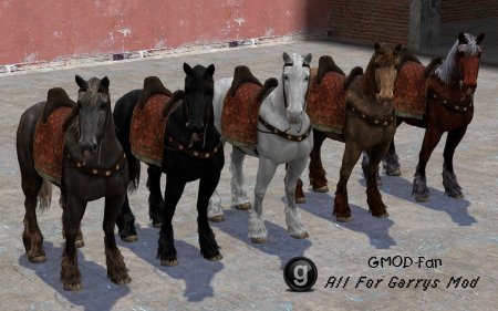 Horse