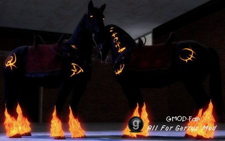 Horse