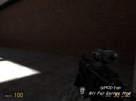 M4a1 + M203