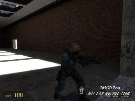 M4a1 + M203