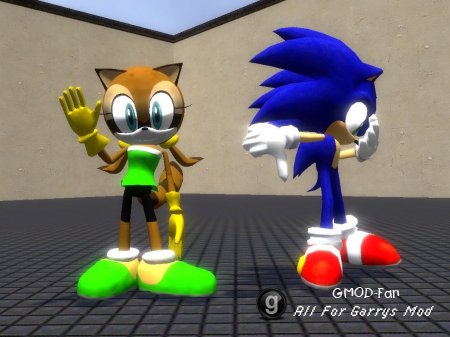Wii Sonic models