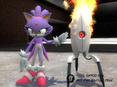 Wii Sonic models