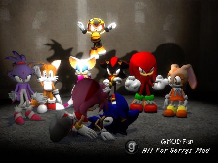 Wii Sonic models