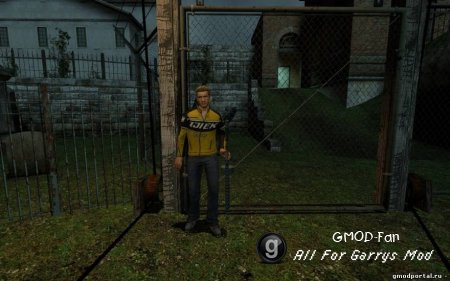 Chuck Greene Ragdoll