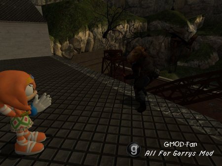 Tikal the Echidna