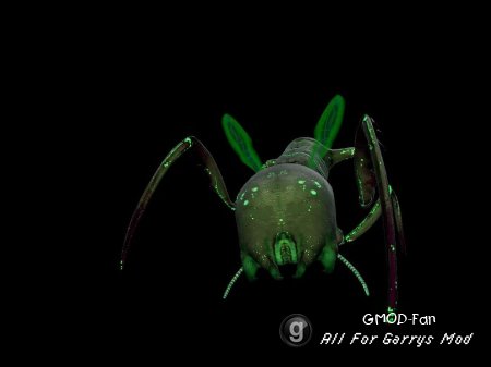 New Antlion Worker Themes
