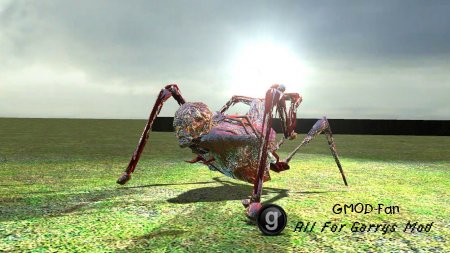 Gal Antlion replacement