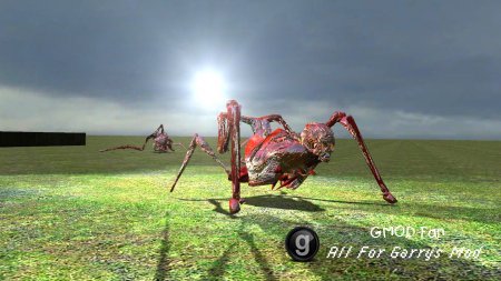 Gal Antlion replacement