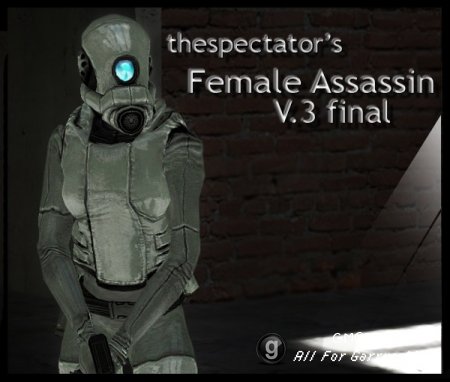 Female Assassin Final