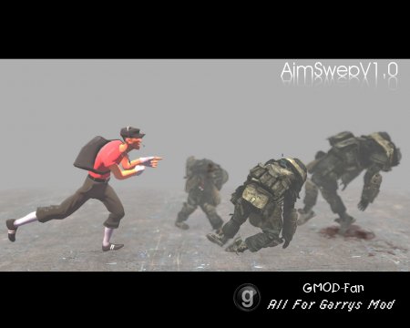 AimSwepV1.0