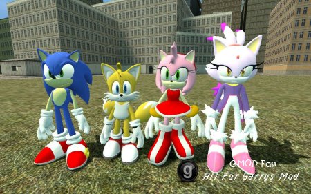 Sonic,Tails,Amy,Blaze Reskins