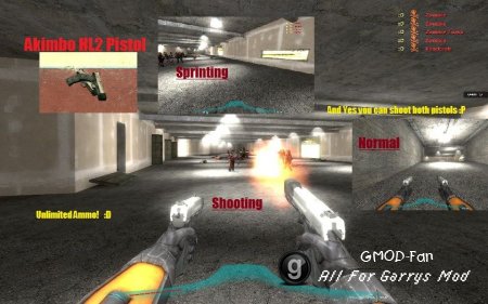 Akimbo HL2 Weapons