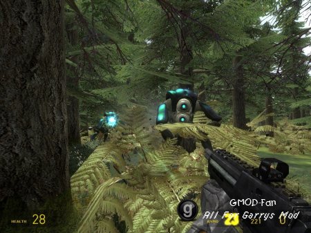 forest_melon_v1_5