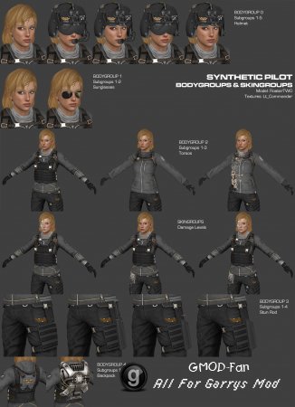 AVP Synthetic Pilot
