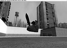 Harmless Shoe