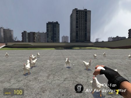 Angry Chicken