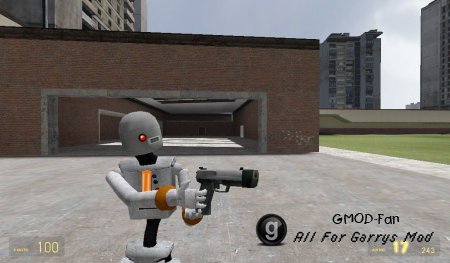 Terrorist_Bot NPC/Player