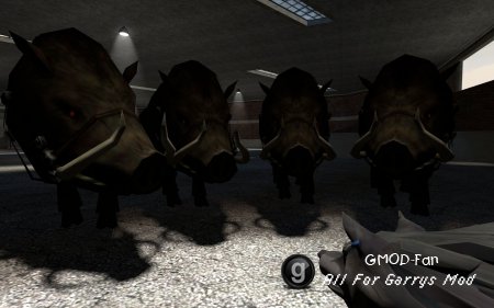 Animal Pack V1