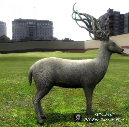 Piratecats deer npc