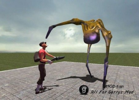 Alien Swarm Boomer Snpc Fix