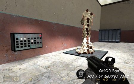 gm_construct_history