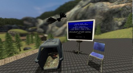 Drunk Crow