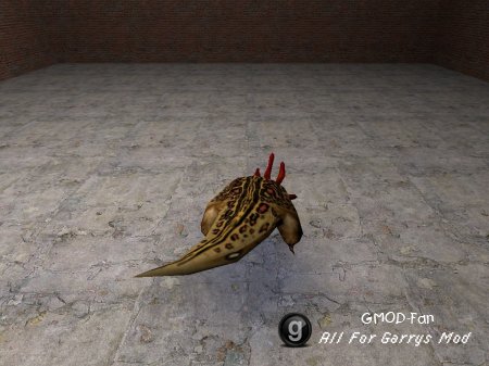 Bullsquid