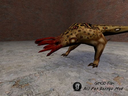 Bullsquid