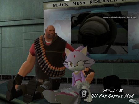 Blaze the Cat