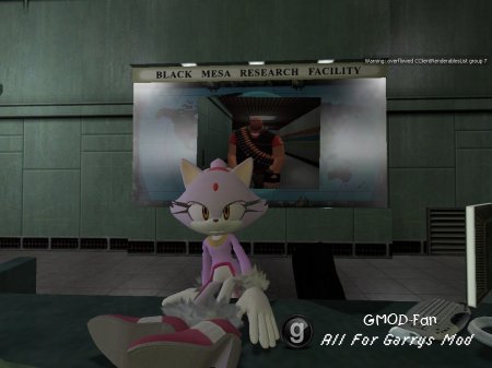Blaze the Cat