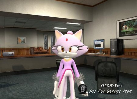 Blaze the Cat