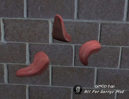 loltounge