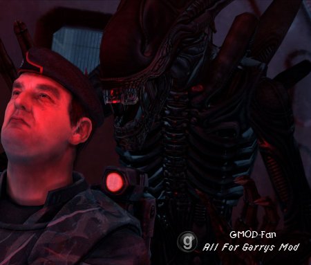 Xenomorph from AVP 2010